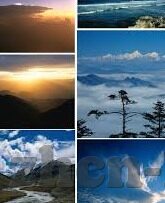 大象传媒app下载安装-探索大象传媒APP，一站式娱乐与信息的新选择